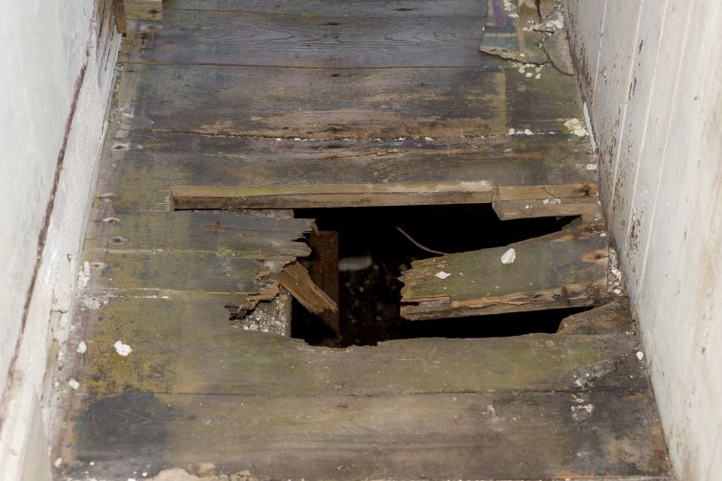 Rotted Floor Repair