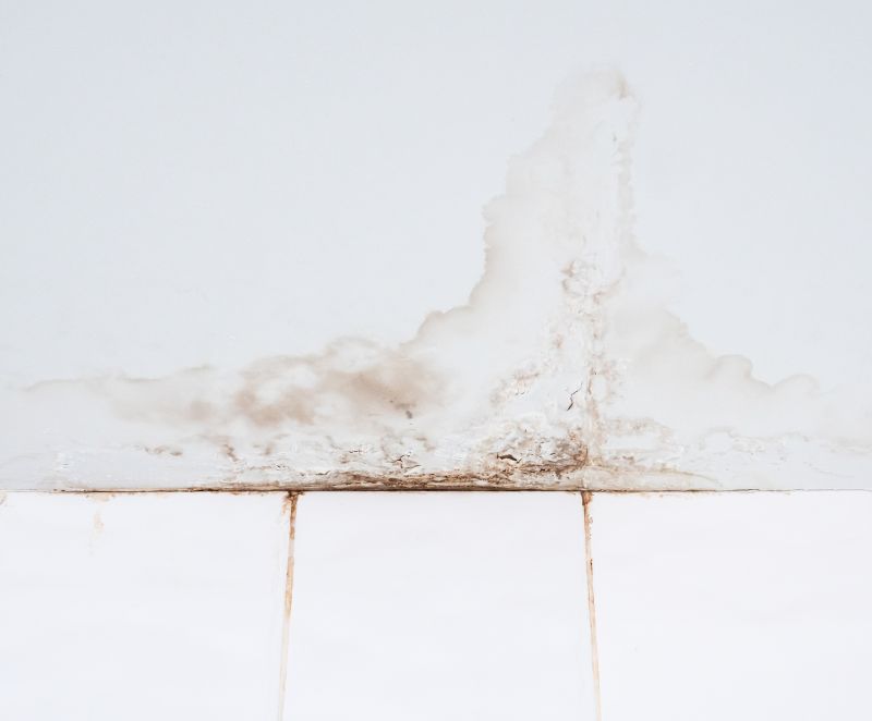 Bathroom Dry Rot Repair