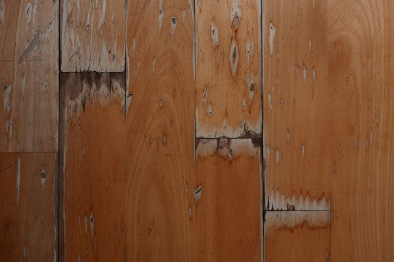 Damaged Wood Replacement