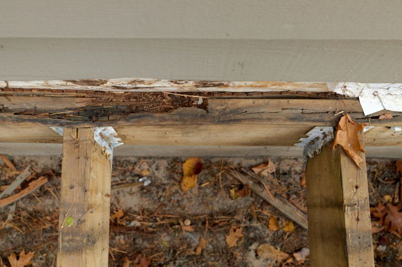 Deck Dry Rot Repair