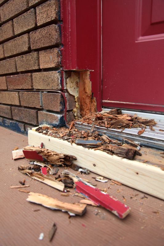 Door Frame Wood Rot Repair
