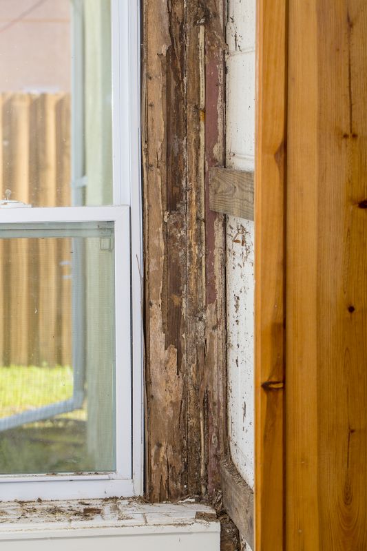 Door Frame Wood Rot Repair