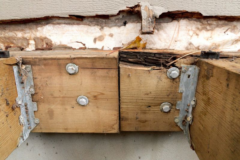 Dry Rot Framing Repair
