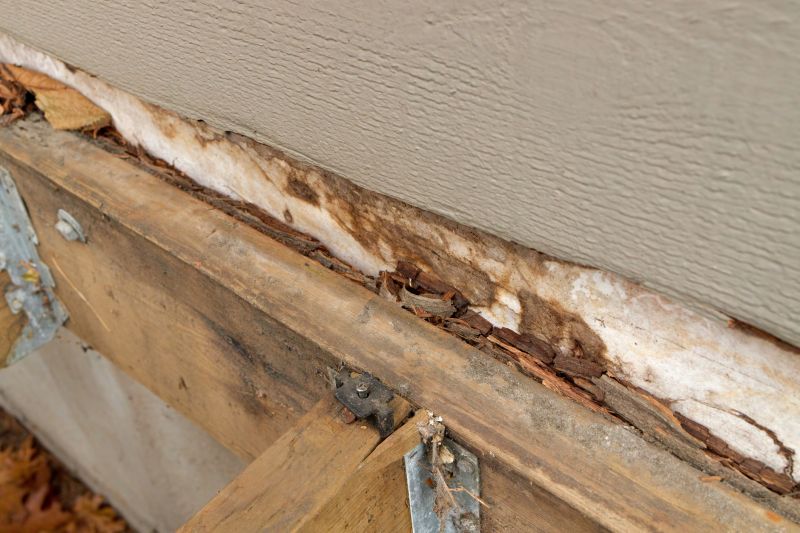 Dry Rot Porch Repair