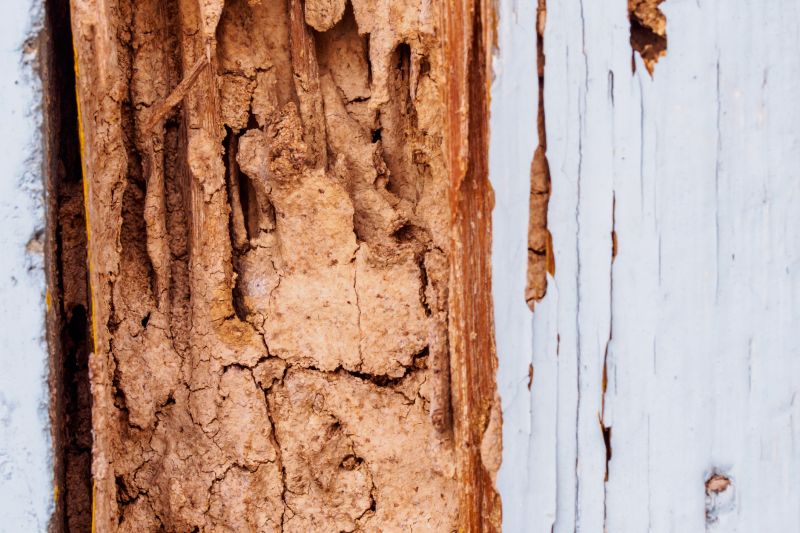 Dry Rot Siding Repair
