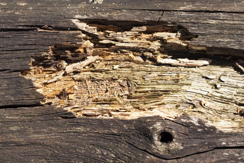 Exterior Wood Restoration
