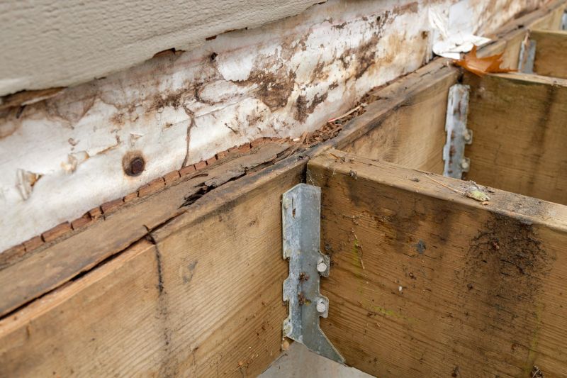 Laundry Room Dry Rot Repair