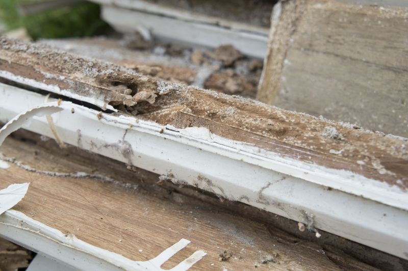 Residential Dry Rot Repair