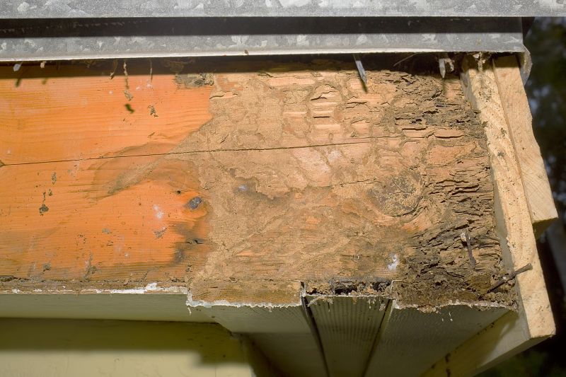 Rotted Beam Repair