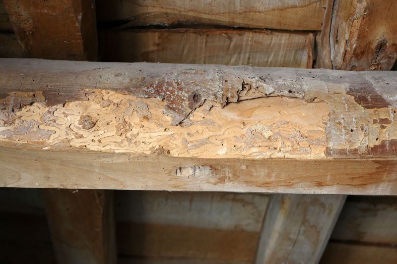 Rotted Beam Repair