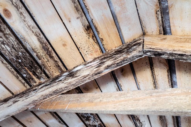 Rotted Deck Repair