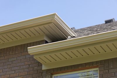 Rotted Fascia Board Repair