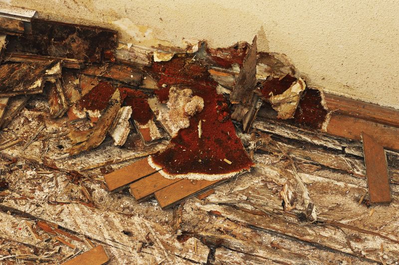 Rotted Floor Repair
