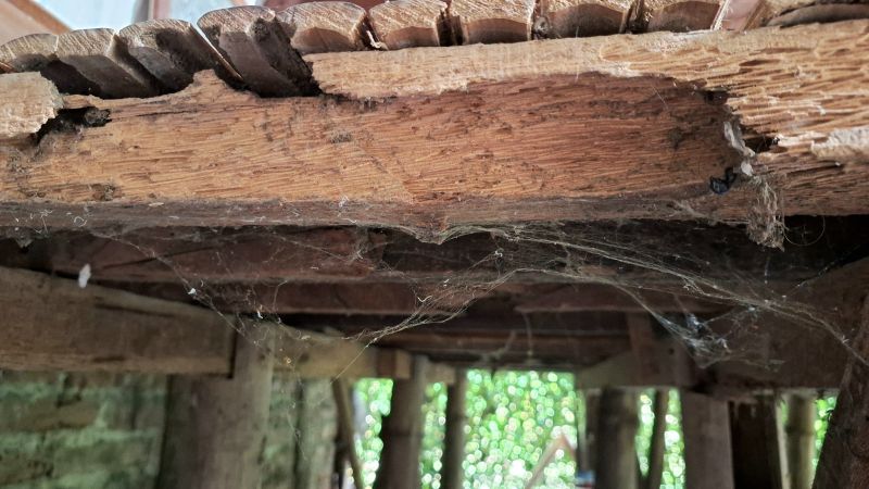 Structural Dry Rot Repair