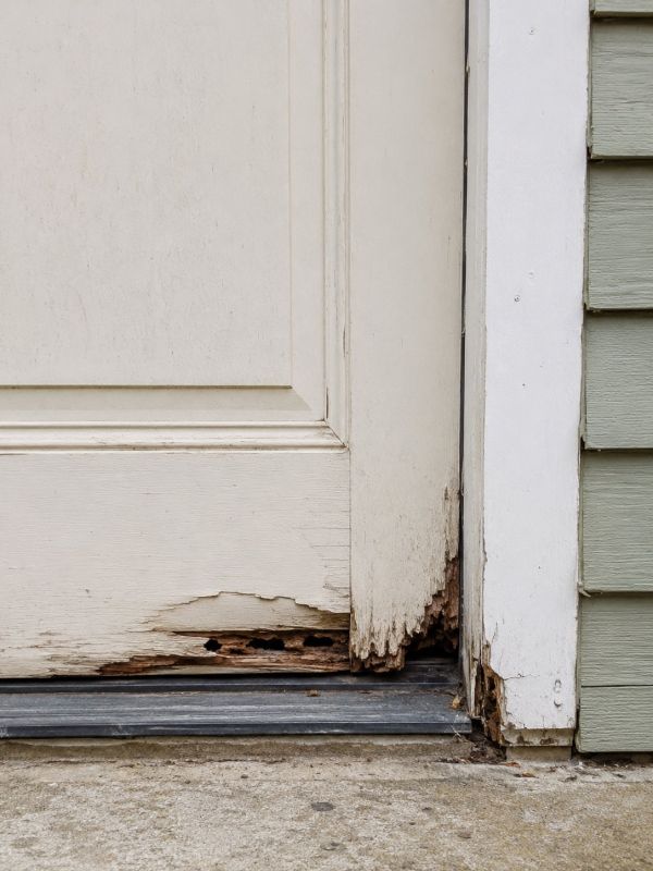 Wood Rot Repair in San Diego